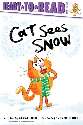 Cat Sees Snow - Laura Gehl
