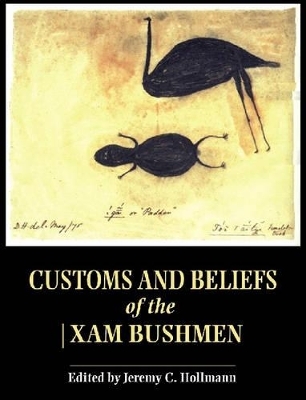 Customs and beliefs of the !xam - J. Hollman