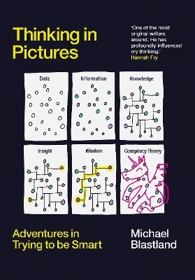 Thinking in Pictures - Michael Blastland