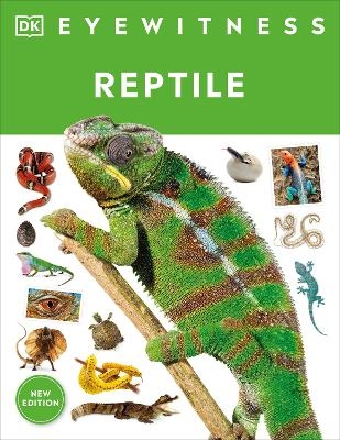 Eyewitness Reptile - Colin McCarthy