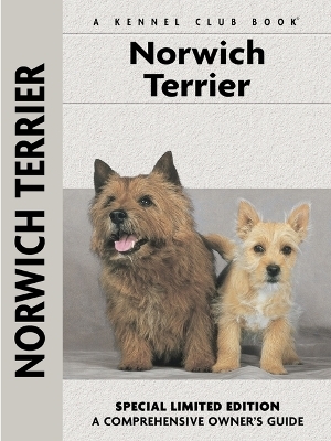 Norwich Terrier - Alice Kane