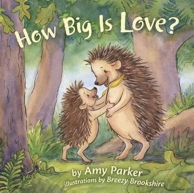 How Big Is Love? (padded board book) - Amy Parker