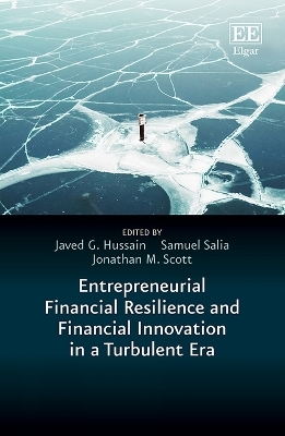 Entrepreneurial Financial Resilience and Financial Innovation in a Turbulent Era - 