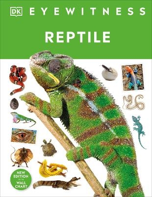 Reptile - Colin McCarthy