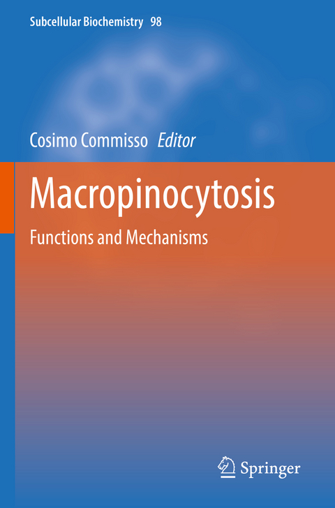 Macropinocytosis - 