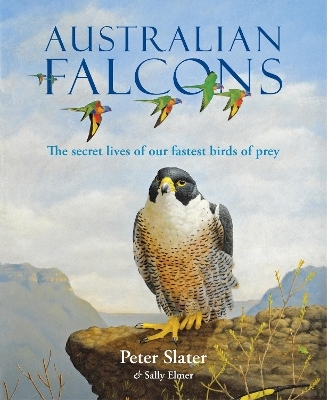 Australian Falcons - Peter Slater, Sally Elmer