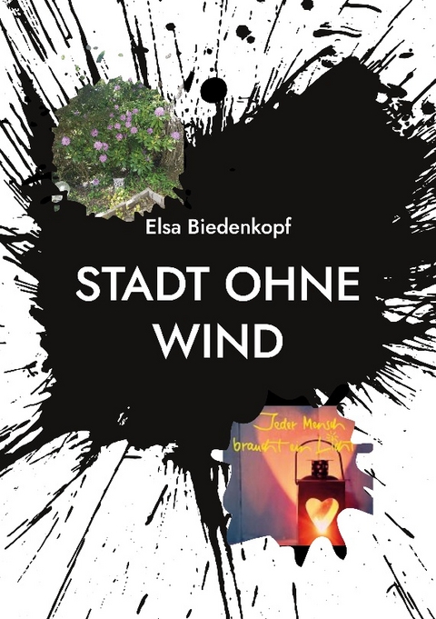 Stadt ohne Wind - Elsa Biedenkopf