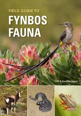 Field Guide to Fynbos Fauna - Cliff Dorse, Suretha Dorse