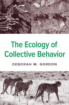 The Ecology of Collective Behavior - Deborah M. Gordon