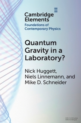 Quantum Gravity in a Laboratory? - Nick Huggett, Niels Linnemann, Mike D. Schneider