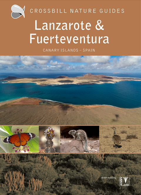Lanzarote and Fuerteventura - Dirk Hilbers