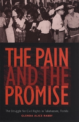 The Pain and the Promise - Glenda Alice Rabby