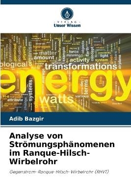 Analyse von Strömungsphänomenen im Ranque-Hilsch-Wirbelrohr - Adib Bazgir