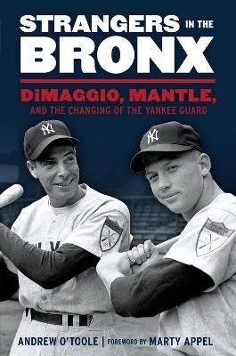 Strangers in the Bronx - Andrew O'Toole