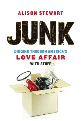 Junk - Alison Stewart