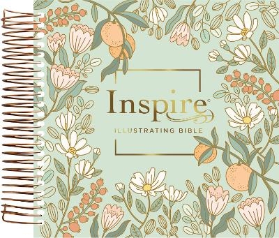 NLT Dayspring Inspire Illustrating Bible, Filament Edition -  Dayspring