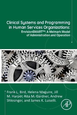 Clinical Systems and Programming in Human Services Organizations - Frank L. Bird, Helena Maguire, Jill M. Harper, Rita M. Gardner, Andrew Shlesinger