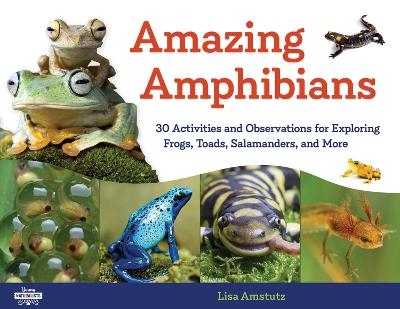 Amazing Amphibians - Lisa J. Amstutz