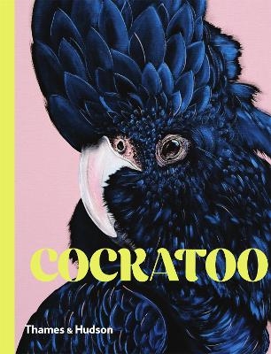 Cockatoo