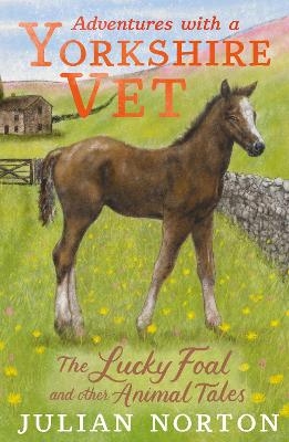 Adventures with a Yorkshire Vet: The Lucky Foal and Other Animal Tales - Julian Norton