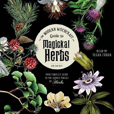 The Modern Witchcraft Guide to Magickal Herbs - Judy Ann Nock