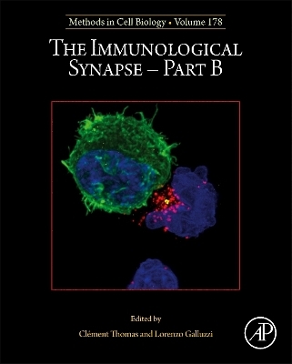 The Immunological Synapse - Part B - 