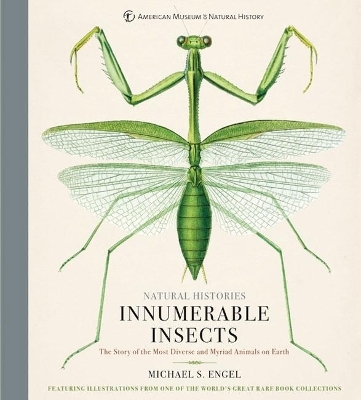 Innumerable Insects - Michael S. Engel