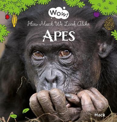 Wow! Apes. How Much We Look Alike - Mack van Gageldonk