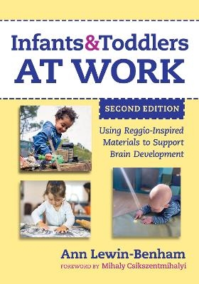 Infants and Toddlers at Work - Ann Lewin-Benham
