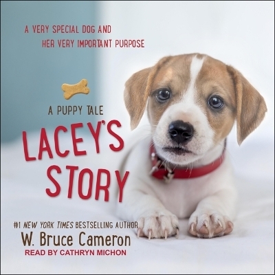 Lacey's Story - W Bruce Cameron