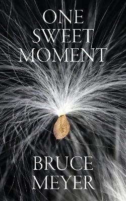 One Sweet Moment - Bruce Meyer