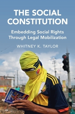 The Social Constitution - Whitney K. Taylor