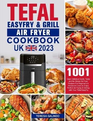 Tefal EasyFry & Grill Air Fryer UK Cookbook 2023 - Teresa Galindo