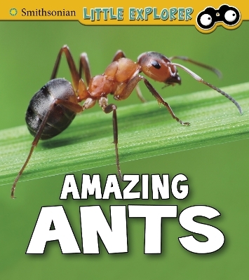 Amazing Ants - Megan Cooley Peterson