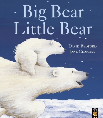 Big Bear Little Bear - David Bedford, Jane Chapman