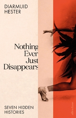 Nothing Ever Just Disappears - Diarmuid Hester