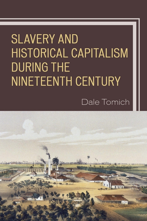 Slavery and Historical Capitalism during the Nineteenth Century - 