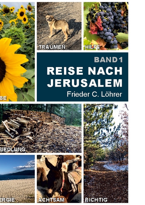 Reise nach Jerusalem - Frieder C. Löhrer