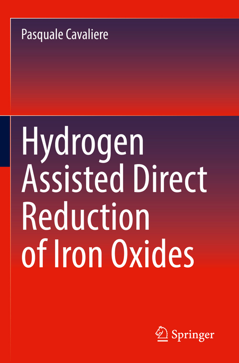 Hydrogen Assisted Direct Reduction of Iron Oxides - Pasquale Cavaliere