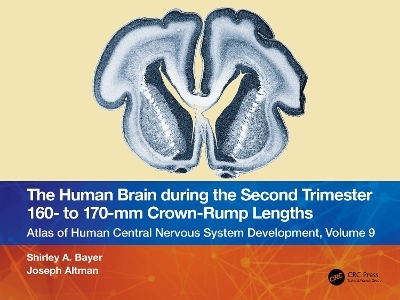 The Human Brain during the Second Trimester 160– to 170–mm Crown-Rump Lengths - Shirley A. Bayer, Joseph Altman