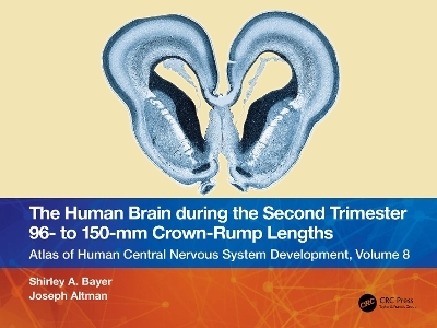 The Human Brain during the Second Trimester 96– to 150–mm Crown-Rump Lengths - Shirley A. Bayer, Joseph Altman