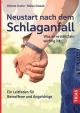 Neustart nach dem Schlaganfall - Helmut Gruhn, Niklas Schaab