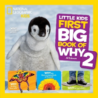 National Geographic Little Kids First Big Book of Why 2 - Jill Esbaum