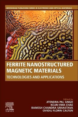 Ferrite Nanostructured Magnetic Materials - 