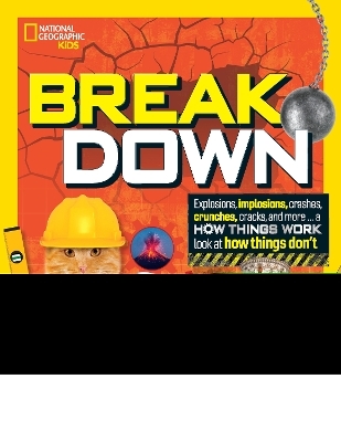 Break Down - Mara Grunbaum