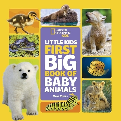 National Geographic Little Kids First Big Book of Baby Animals - Maya Myers