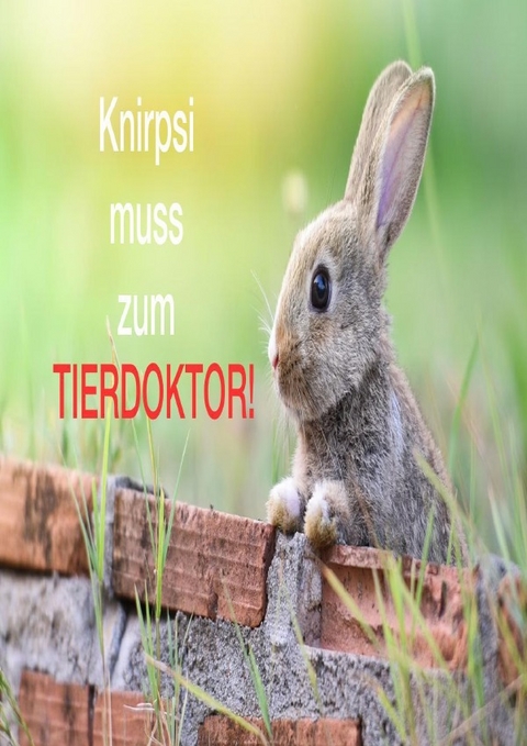 Kaninchen Knirpsi muss zum Tierdoktor - Pietro Alessandro Aidala