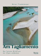 Am Tagliamento - Werner Freudenberger