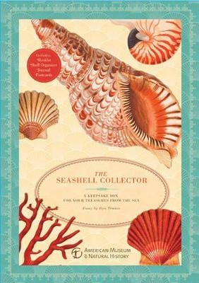 The Seashell Collector - Ilya Tëmkin