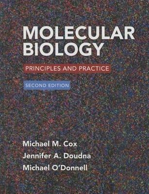 Molecular Biology: Principles and Practice 2e & Launchpad for Cox's Molecular Biology (1-Term Access) - University Michael M Cox, Jennifer Doudna, Michael O'Donnell